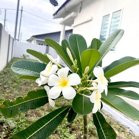 Inang Homestay Teluk Intan Exterior photo
