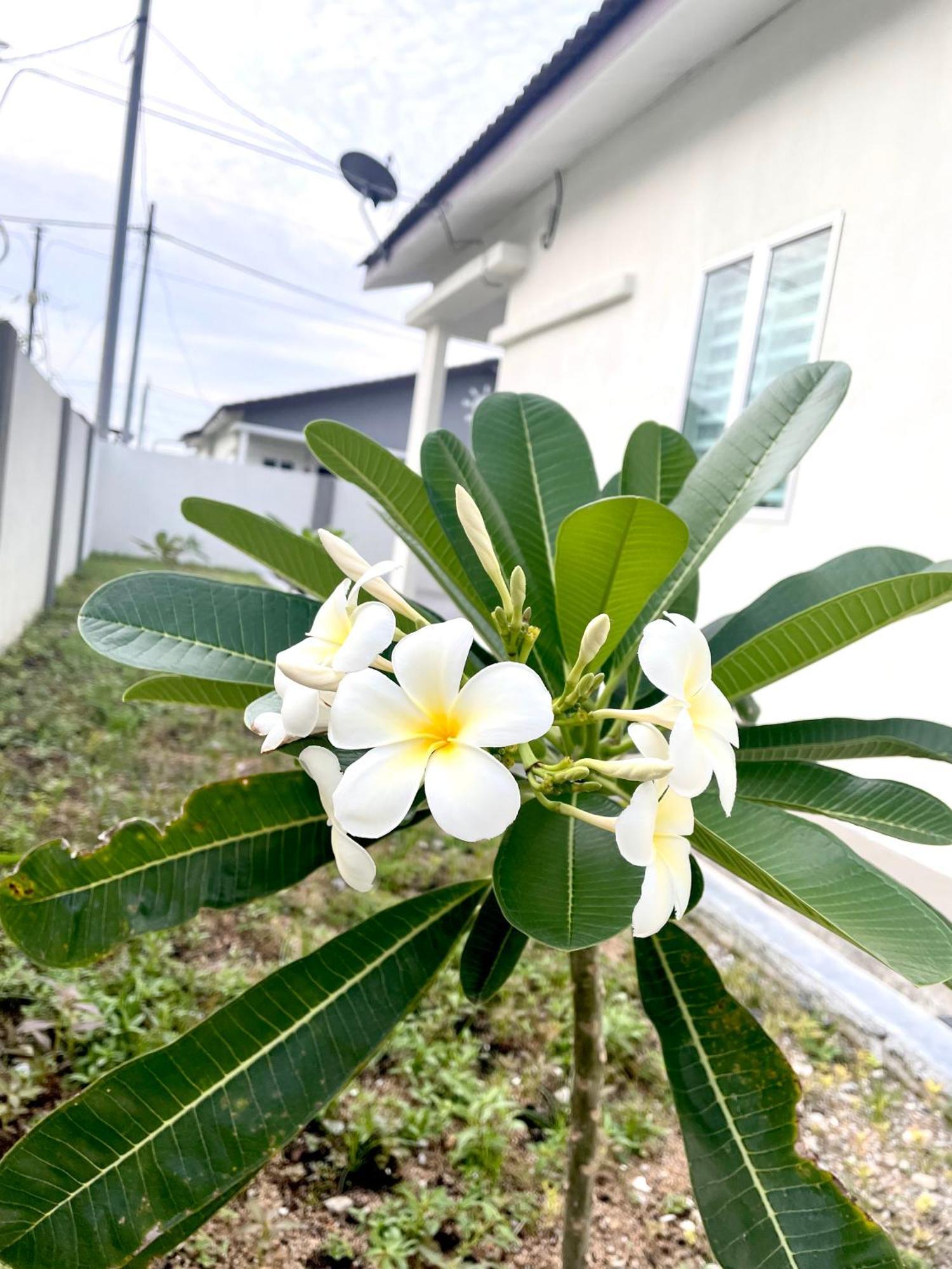 Inang Holiday home Teluk Intan